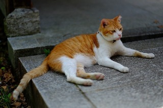 DSCF2208.jpg