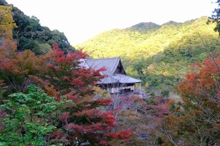 DSCF2210.jpg