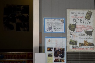 DSCF2232.jpg