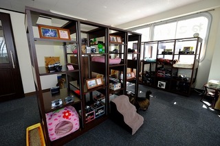DSCF2254.jpg