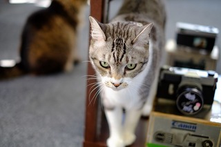 DSCF2256.jpg