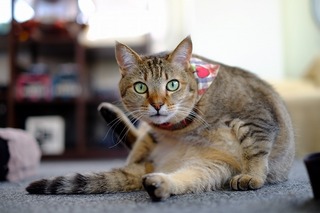 DSCF2278.jpg