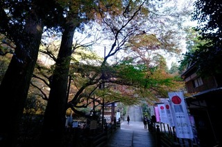 DSCF2288.jpg