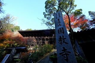 DSCF2290.jpg