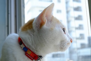 DSCF2295.jpg