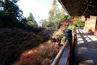 DSCF2296.jpg