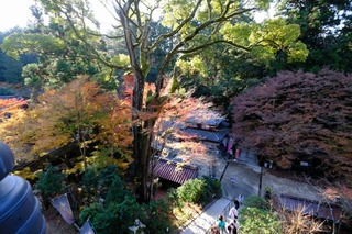 DSCF2297.jpg