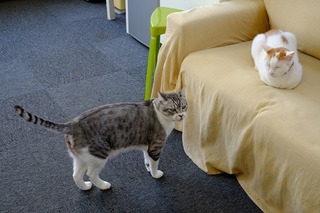 DSCF2336.jpg