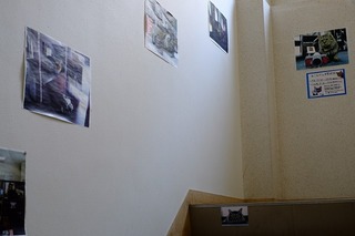 DSCF2344.jpg