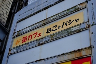 DSCF2346.jpg