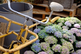 DSCF2856.jpg