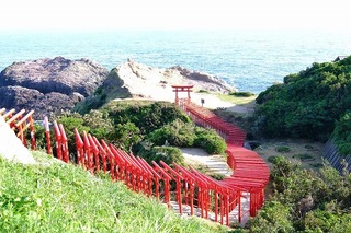 DSCF2921.jpg