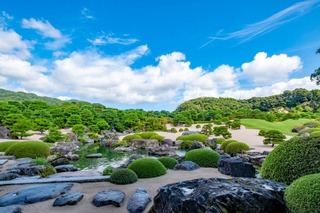 DSCF3096-1.jpg