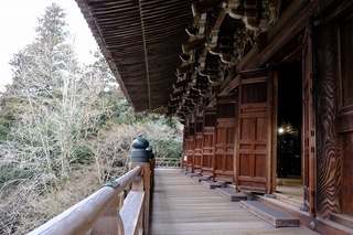 DSCF3109.jpg