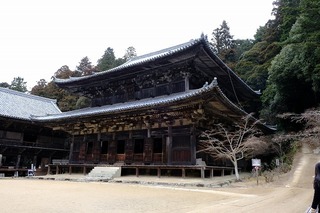 DSCF3114.jpg