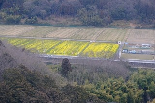 DSCF3147.jpg