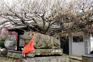 DSCF3157.jpg