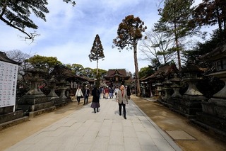 DSCF3160.jpg