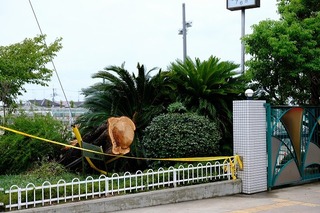 DSCF3163.jpg