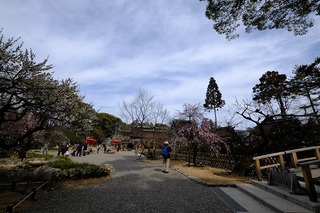 DSCF3168.jpg