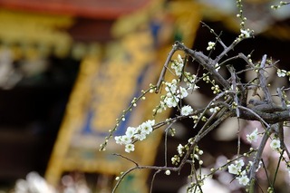 DSCF3180.jpg