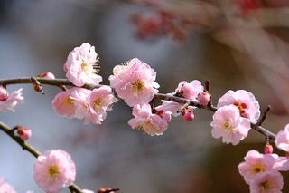 DSCF3183.jpg