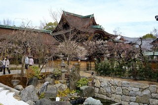 DSCF3187.jpg