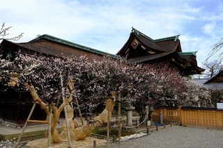 DSCF3190.jpg