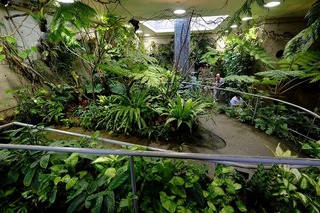 DSCF3194.jpg