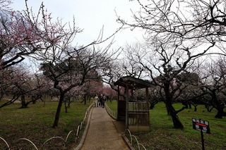 DSCF3199.jpg
