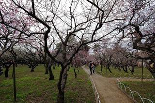 DSCF3201.jpg