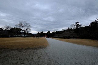DSCF3202.jpg