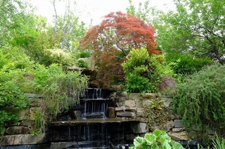 DSCF3203.jpg