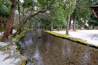 DSCF3209.jpg