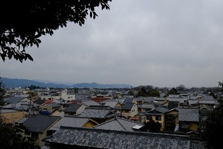 DSCF3213.jpg