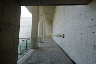 DSCF3224.jpg