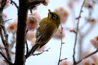 DSCF3289.jpg