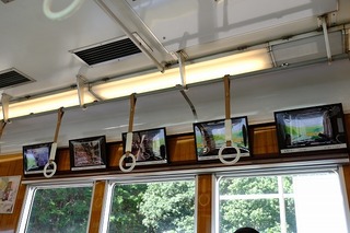 DSCF3409.jpg