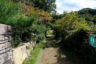 DSCF3434.jpg