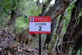 DSCF3440.jpg