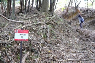DSCF3445.jpg