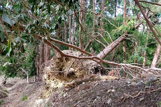DSCF3447.jpg