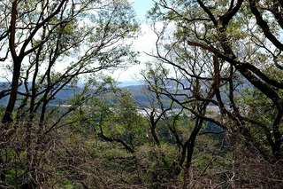DSCF3449.jpg