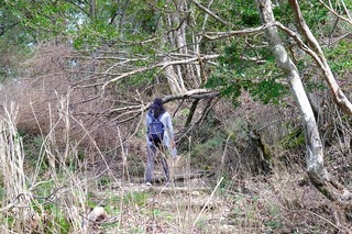 DSCF3451.jpg