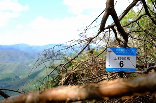 DSCF3453.jpg