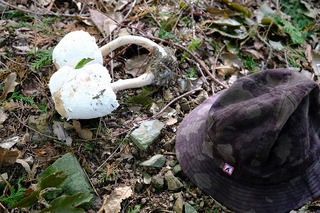 DSCF3456.jpg