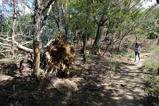 DSCF3462.jpg
