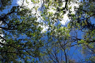 DSCF3470.jpg