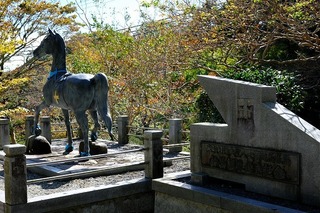 DSCF3485.jpg