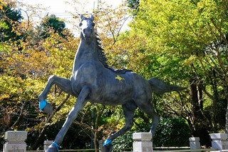 DSCF3486.jpg